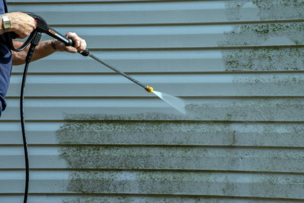 Best Gutter Cleaning and Brightening in Pearl City, HI